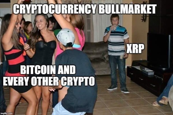 CryptoMeme - Crypto Meme (395).jpg
